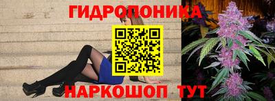 spice Рязань